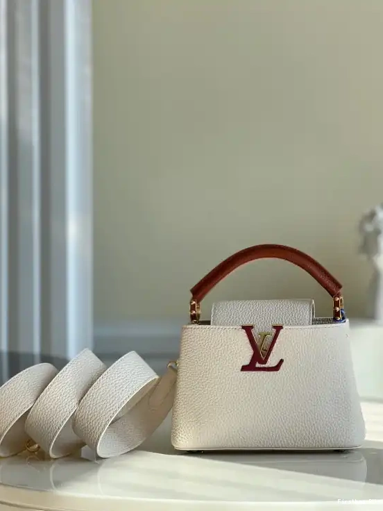 First bags ru reviews CAPUCINES VUITTON LOUIS MINI 0707